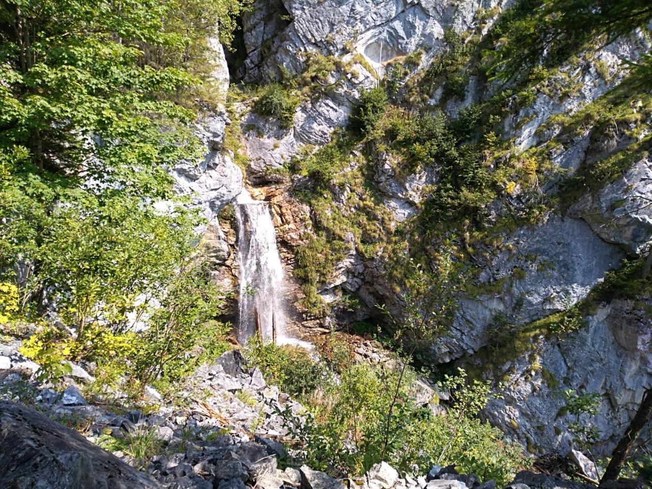 Hotel Gasthof Gruber Wald am Schoberpass Exteriér fotografie